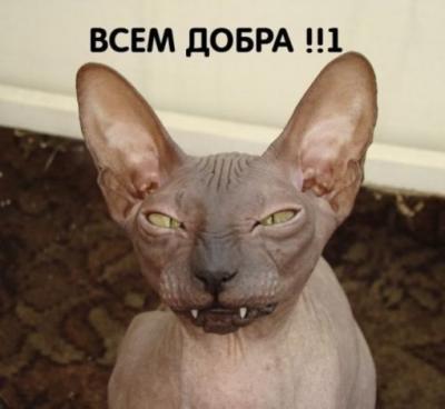 Прикрепленное изображение: f_dc835a19ff52881b515fe54f6aaafda44ce9b8e8.jpg